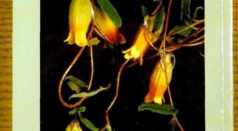 mnhon5|Learn About Local Flora at the Grampians National Park Flora Reserve: Study the diverse flora at the Flora Reserve