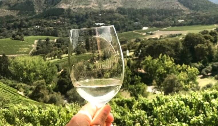 mnhon5|Taste Wine at a Local Vineyard: Visit a local vineyard for wine tasting