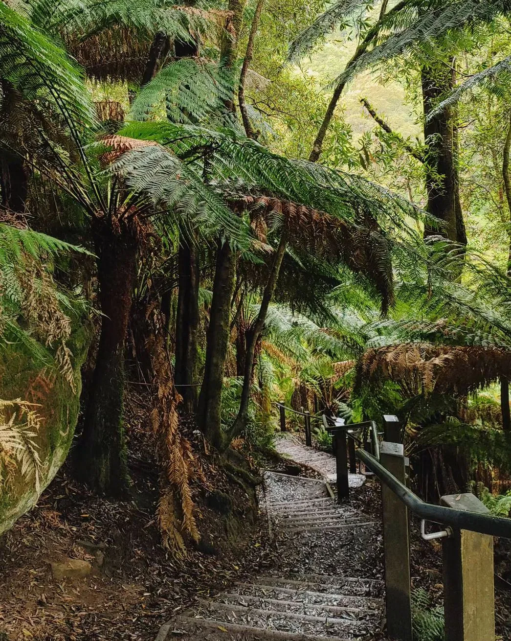 mnhon5 | Is the Great Ocean Road Toll-Free?